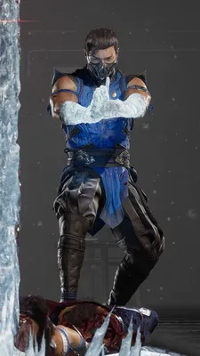 MK1 Sub-Zero | Sub zero mortal kombat, Mortal kombat 1, Mortal kombat