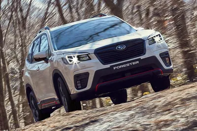 Subaru Forester 2021 review: 2.5i Sport - New look, but can it compare to  the Toyota RAV4? | CarsGuide