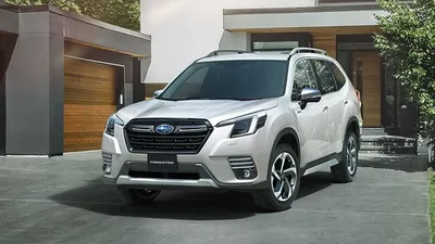 Subaru Forester – What you need to know - carsales.com.au