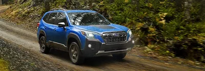 2024 Subaru Forester | The All-Wheel Drive Compact SUV for All You Love