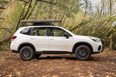 Unveiling the Secrets: 5 Hidden Features of the 2023 Subaru Forester |  Bachman Subaru