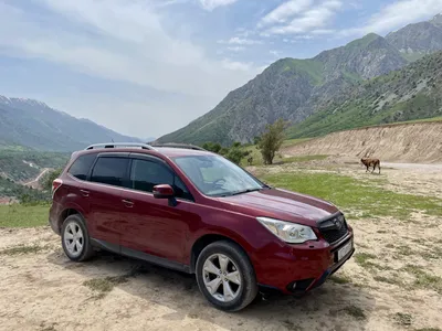 2023 Subaru Forester For Sale in Ann Arbor, MI