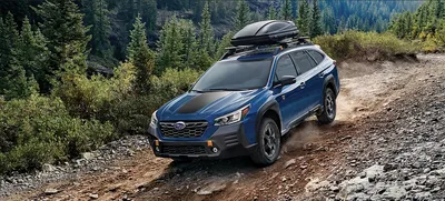 On-Road Comfort: The Smooth Ride of the Subaru Outback SUV | Tynan Motors