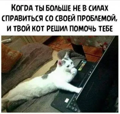 Сегодня суббота? - Нет. - А вчера была суббота?? - Нет! - А завтра суббота???  - Нет... - А чё, субботы не буде… | Цитаты детей, Смешные высказывания,  Смешной юмор