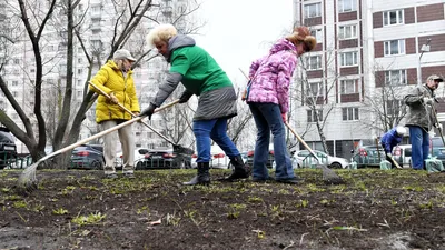 Выходные на метле: все что нужно знать о субботнике в Москве - Недвижимость  РИА Новости, 22.04.2021