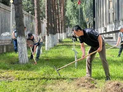 В Тверской области на выходных пройдет масштабный субботник | официальный  сайт «Тверские ведомости»