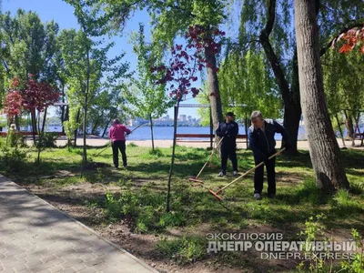 Сколько денег собрали белорусы на республиканском субботнике - 19.04.2021,  Sputnik Беларусь