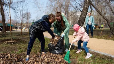 Субботник | Пикабу