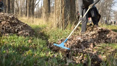 20 апреля стартует VI Всероссийский экологический субботник \"Зелёная Весна\"  - Новости РГО