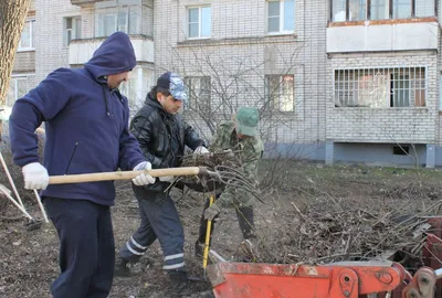 Мыли памятники и сажали деревья - субботник проходит в Хабаровске (ФОТО;  ВИДЕО) — Новости Хабаровска