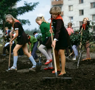 Как в СССР народ ходил на субботники? Подборка редких и интересных  фотоснимков🍃🧹 | Как же это было | Дзен