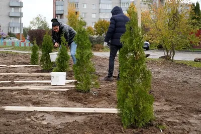 Фотоотчёт «Ура! Субботник!» (14 фото). Воспитателям детских садов, школьным  учителям и педагогам - Маам.ру