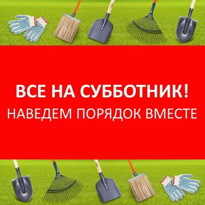 ДОН24 - Первый в этом году субботник пройдет в Ростове 2 апреля