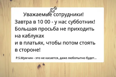 22 апреля по всей стране прошли субботники - Раменский городской округ -  Официальный информационный портал
