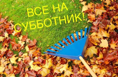 Для чистоты и для картинки. Как в Кирове прошли самые массовые субботники