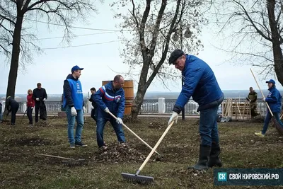 Прикольные картинки про субботник (46 фото) » Юмор, позитив и много смешных  картинок