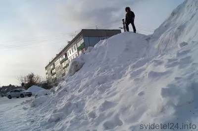 Пусть в школе и детском саду растут дети, а не сугробы! — Брянская  городская администрация