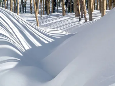 Счастливая иллюстрация при дети Sledding, катание семьи отца, запись матери  с видеокамерой в сцене зимнего дня Сугробы Иллюстрация штока - иллюстрации  насчитывающей ребенок, природа: 101348868