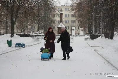 Милый мальчик малыша в костюме сидя на большом сугробе, Surr зимы Стоковое  Фото - изображение насчитывающей снежности, дети: 123830348