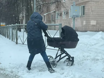 Почему владимирских детей мамы из сугробов выгоняют? - KP.RU