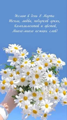 Купить «Форесия» в Нижневартовске, каталог «Цветы и букеты к 8 марта» -  Супер Флора