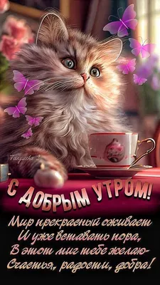 ❤️❤️❤️ Доброе утро, любимая ❤️❤️❤️ Самое красивое пожелание С ДОБРЫМ УТРОМ  для ЛЮБИМОЙ! - YouTube