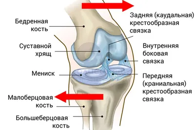 Лечение отека суставов. Отвечает врач клиники OSTeam из Санкт-Петербурга |  OSTeam