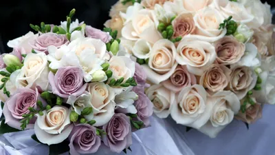 Скачать 2560x1440 розы, цветы, свадебные букеты, красота обои, картинки 16:9