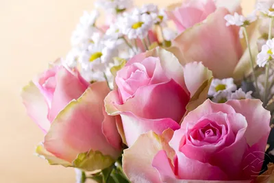 Картины Розы \"Светлые цветы\" - арт 0120015101 | Купить в интернет-магазине  Фото в дом - Фото в дом