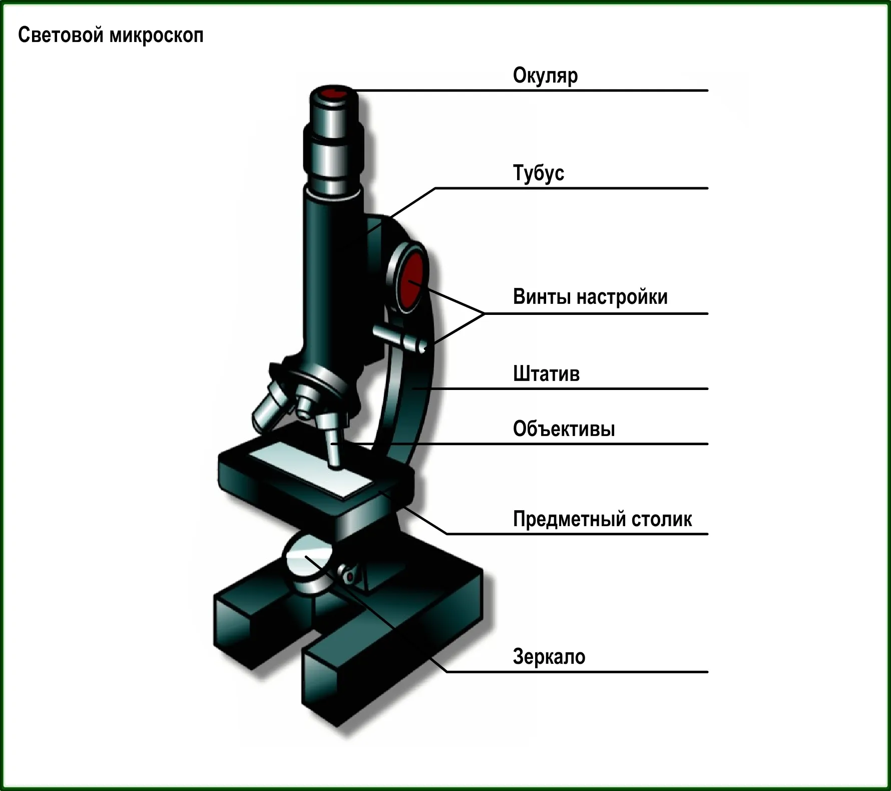 Строение цифрового микроскопа 5. Цифровой микроскоп строение 5 класс. Строение микроскопа 5 класс. Строение светового микроскопа 5 класс. Части микроскопа и их названия и функции