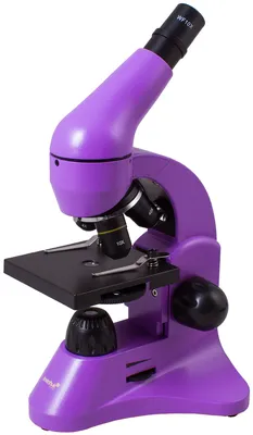 Микроскоп Микромед биологический С-12, Биологический, 640 крат купить по  выгодной цене в интернет-магазине OZON (371419100)