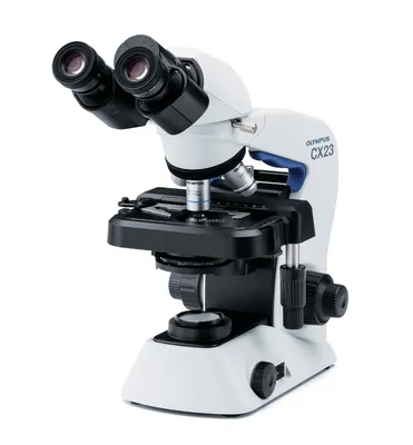 Как пользоваться микроскопом, чтобы увидеть как можно больше?