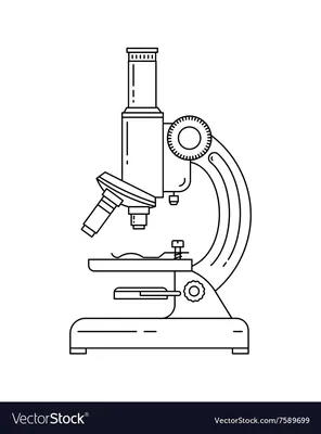 Микроскоп иллюстрация - 33 фото