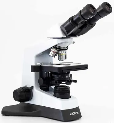 Растровый электронный микроскоп — Википедия