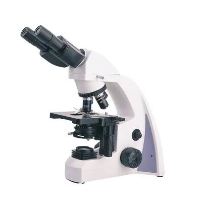 Электронный микроскоп | Пикабу