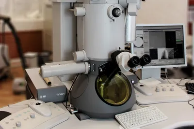 Белый оптический микроскоп медицинского высокого разрешения Иллюстрация  вектора - иллюстрации насчитывающей школа, реалистическо: 198316388