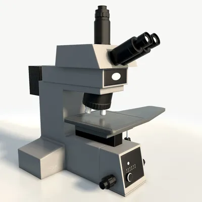 ⚡️Световой микроскоп vs электронный⚡️ для ОГЭ по биологии | Эксплицитная  биология (ОГЭ по биологии) | Дзен