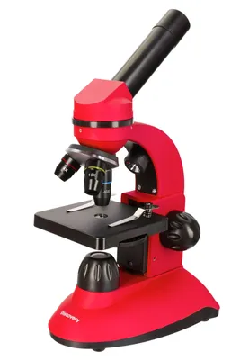 Световой микроскоп низкий поли 3D Модель $19 - .unknown .3ds .blend .dae  .fbx .max .obj - Free3D