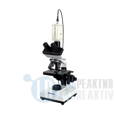 Модульный микроскоп OLYMPUS BX43 | CoLab