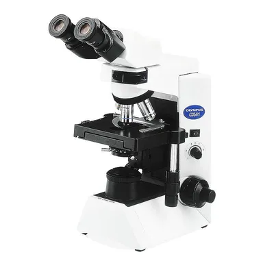 Студенческий портативный тринокулярный электронный микроскоп с цифровой  камерой BIOBASE BXTV-1A по цене производителя с доставкой по РФ —  Лабреактив.