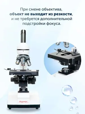 Световой микроскоп Эрудит H306 (1000x - 1920х1080 / 2MP) оптический  лабораторный микроскоп с монитором и записью на SD купить по цене 5500  рублей в интернет-магазине Spycams.ru в Москве