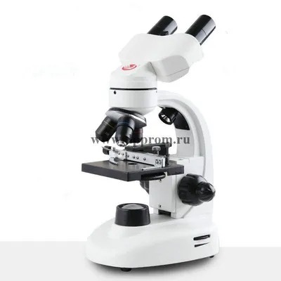 Прямой оптический микроскоп CX41 – купить в Санкт-Петербурге и области по  выгодной цене и с гарантией качества от производителя