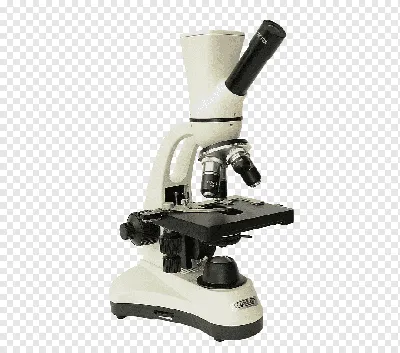 Оптический микроскоп HD для детей и начинающих с увеличением 400X-24000X, с  микроскопом, слайды, искусственная кожа, школа, лаборатория | AliExpress