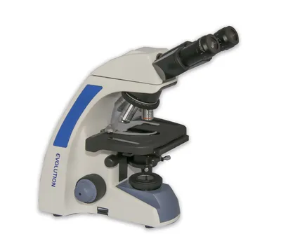 Оптический микроскоп Light Scientific, прибор Брюстерский угловой микроскоп,  микроскоп, объектив, микроскоп, свет png | PNGWing