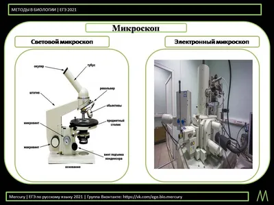 Световой микроскоп ZEISS Smartzoom 5 купить в Москве у «Элтемикс - Лаб»