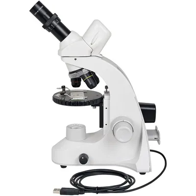Бинокулярный Биологический микроскоп, профессиональный микроскоп 40-1600X,  высокомощный электронный микроскоп | AliExpress