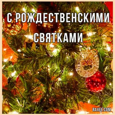 Семь дней Рождества и Святки: почему важно веселиться правильно -  Российская газета