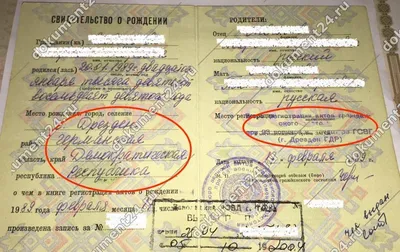 Свидетельство о рождении США (Birth Certificate) | AIST USA