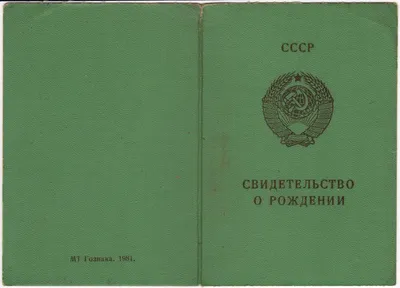 Свидетельство о рождении для куклы реборн в интернет-магазине на Ярмарке  Мастеров | Аксессуары для кукол и игрушек, Орел - доставка по России. Товар  продан.