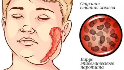 Свинка Пеппа — раскраски для детей скачать онлайн бесплатно